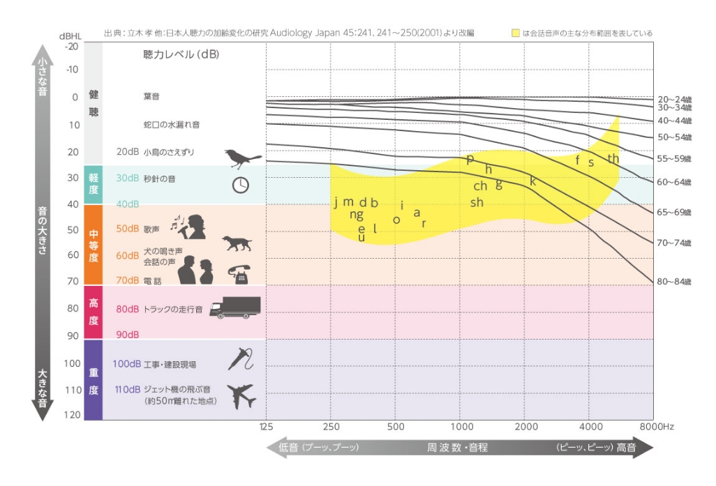 耳の構造と難聴の種類