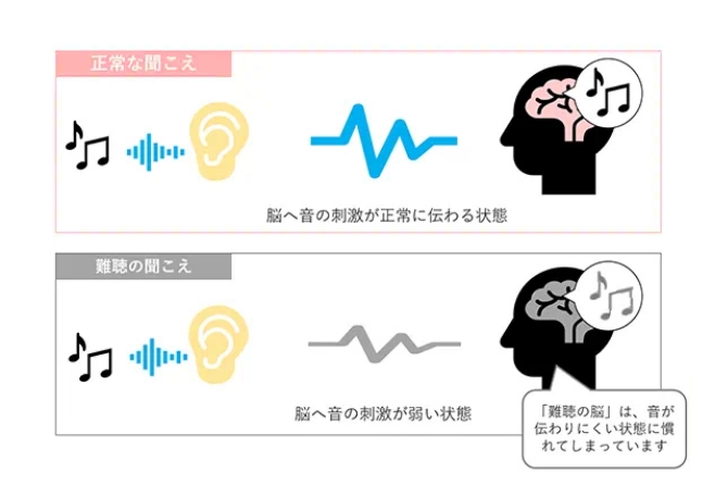 脳は「トレーニング」する必要があります